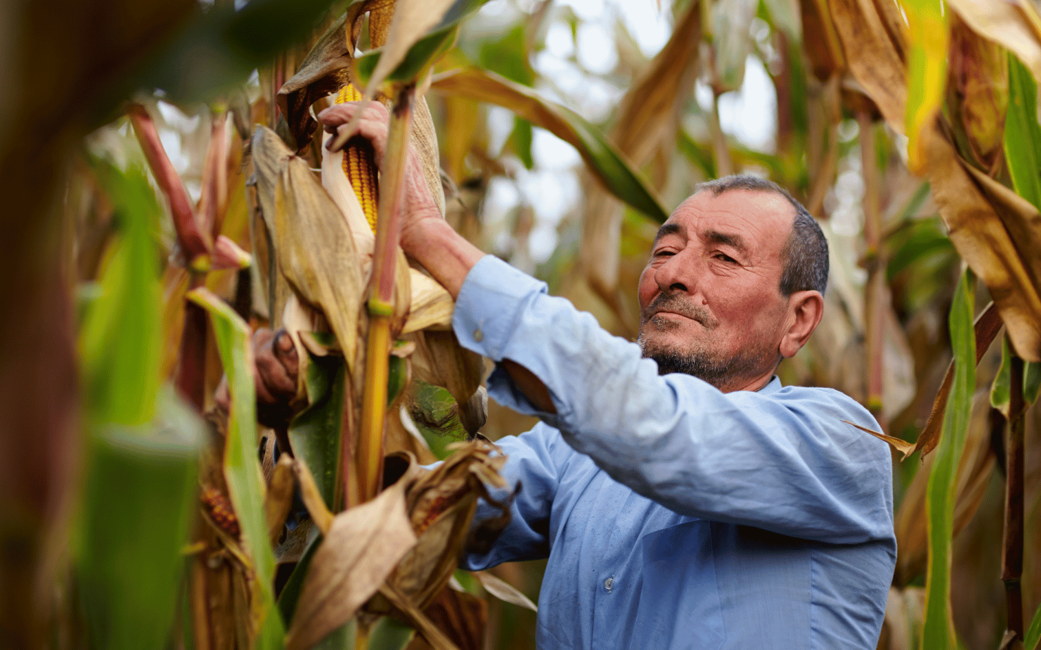 O prazo entrega da Declaração do Imposto Territorial Rural (DITR 2024) inicia em 12 de agosto. A Veiga & Postal já está recebendo documentos.